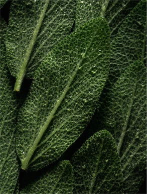 BOBBYOO® - Brume Visage Prébiotiques & Acide Hyaluronique
